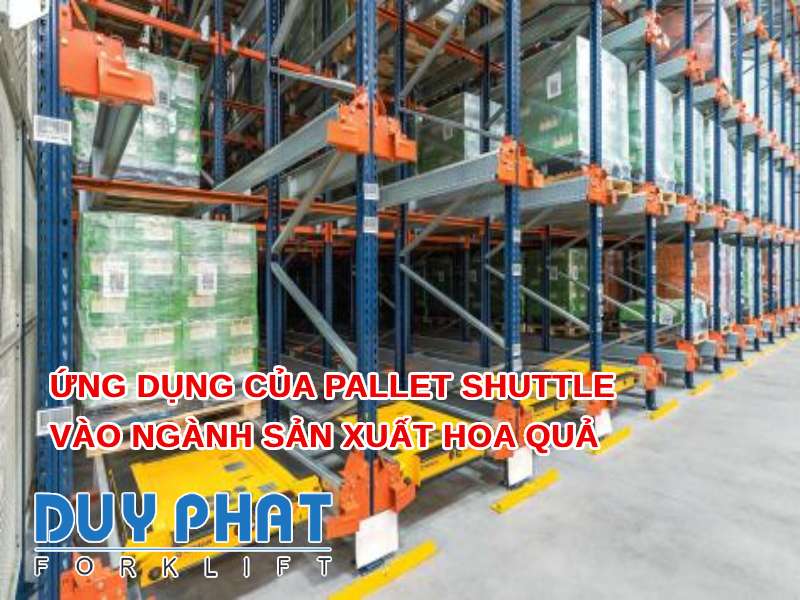 Ứng dụng của Pallet Shuttle vào ngành sản xuất hoa quả