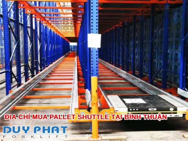 Địa chỉ mua Pallet Shuttle tại Bình Thuận