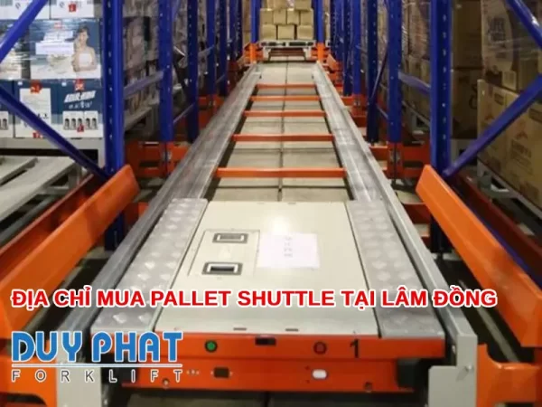 Địa chỉ mua Pallet Shuttle tại Lâm Đồng chuyên nghiệp, uy tín