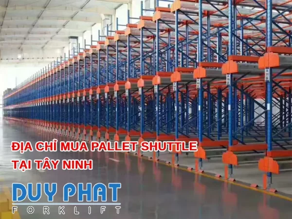 Địa chỉ mua Pallet Shuttle tại Tây Ninh uy tín, chuyên nghiệp